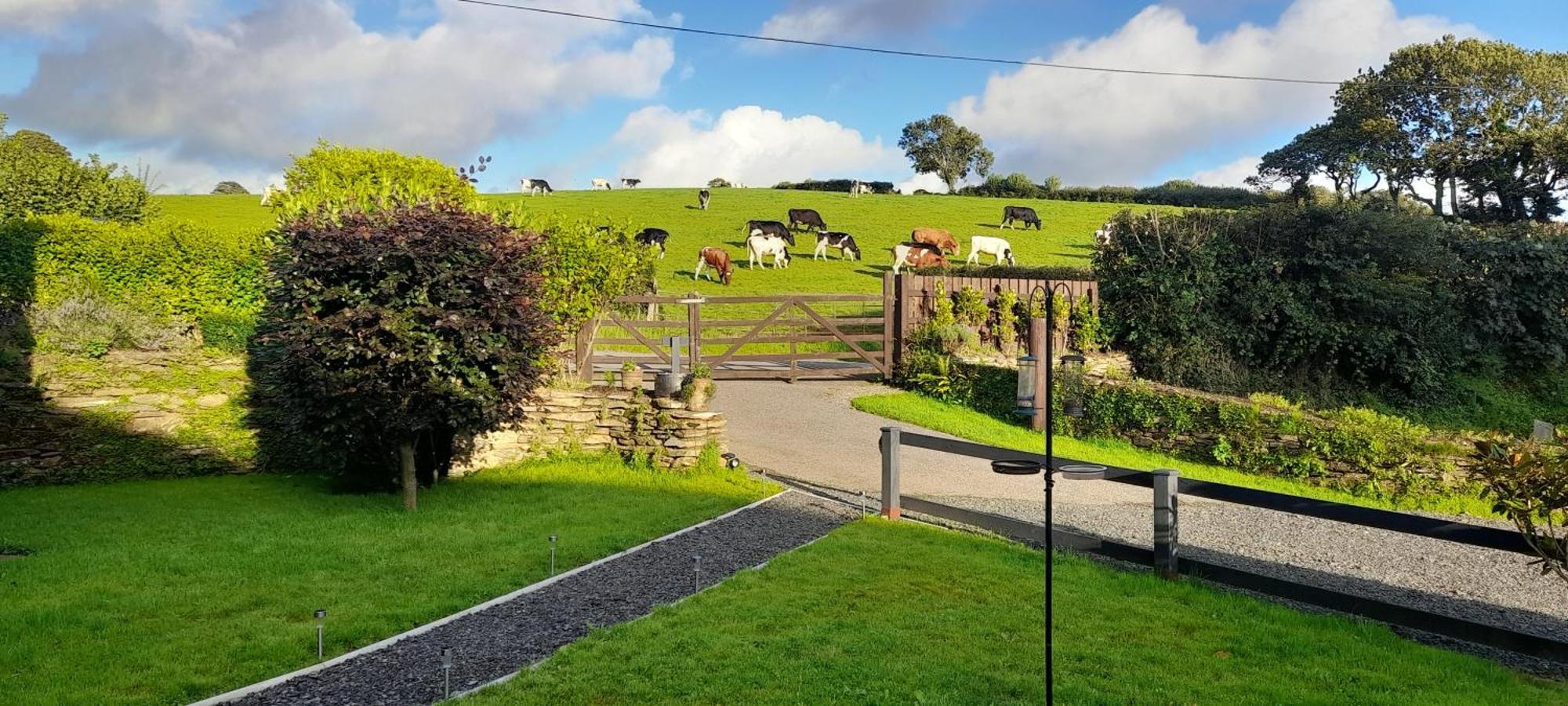 Wisteria Barn, Trewethen, St Teath, Nr Port Isaac Villa Saint Teath Екстериор снимка