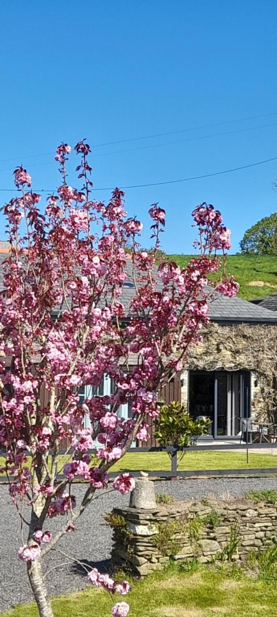 Wisteria Barn, Trewethen, St Teath, Nr Port Isaac Villa Saint Teath Екстериор снимка